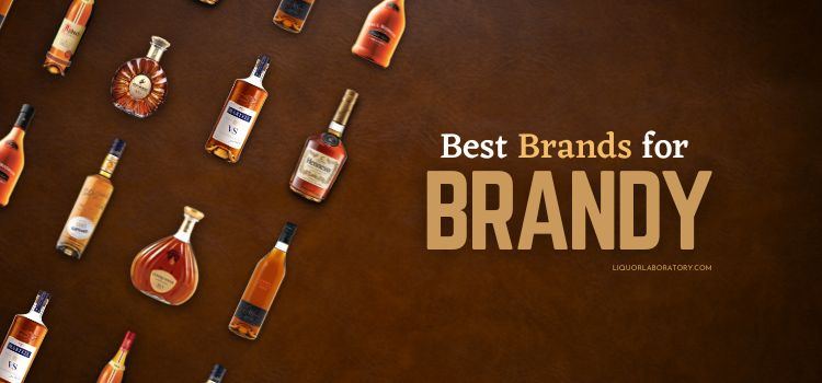 Best brandy brands bottles lineup