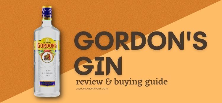 Gordon's gin bottle, review and buying guide