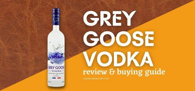 Grey Goose vodka bottle, review and buying guide