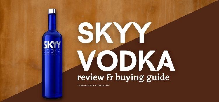 SKYY vodka bottle, review and buying guide
